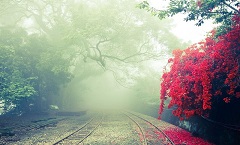 攀枝花雨双膜结构有限公司